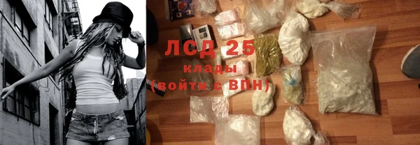 spice Гусев