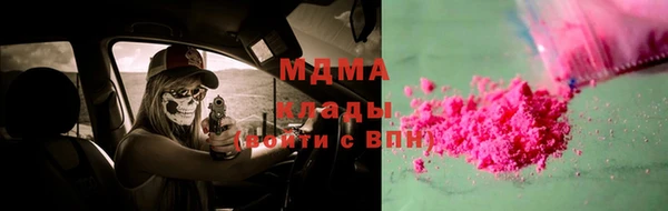 spice Гусев