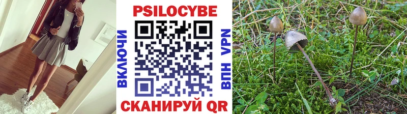 Галлюциногенные грибы прущие грибы  закладки  Озёрск 